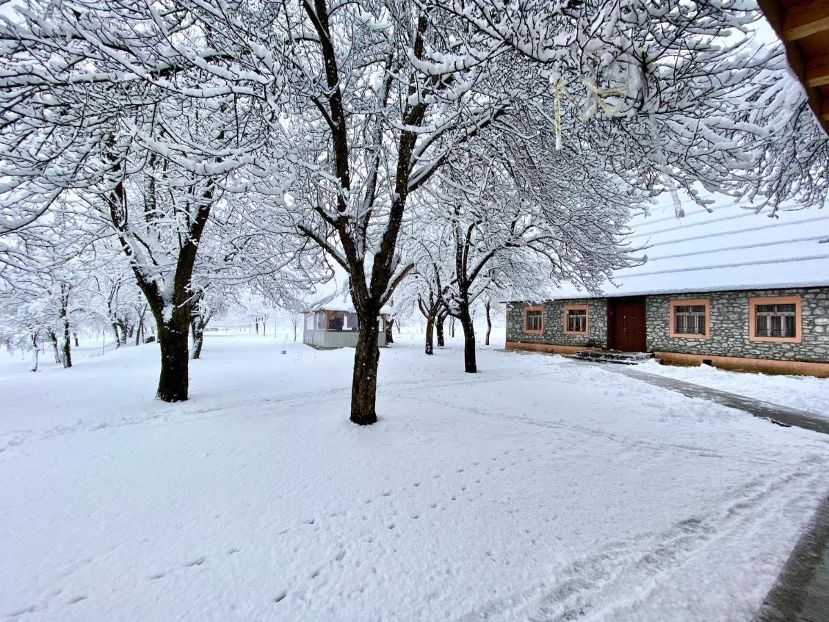 Peraj Guesthouse Vermosh Екстериор снимка
